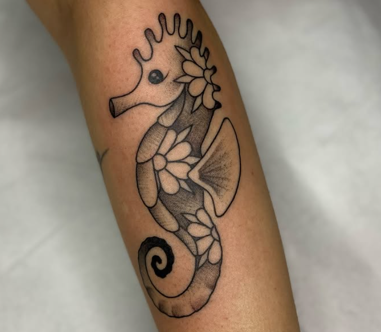 Cavalo marinho em linha fina